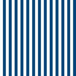 Azul Marinho/Branco
